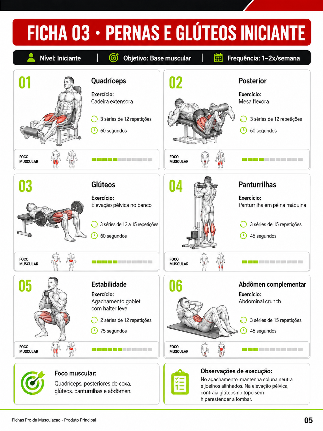 Ficha de treino visual